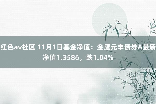 红色av社区 11月1日基金净值：金鹰元丰债券A最新净值1.3586，跌1.04%