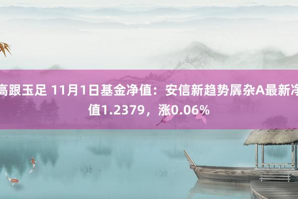 高跟玉足 11月1日基金净值：安信新趋势羼杂A最新净值1.2379，涨0.06%