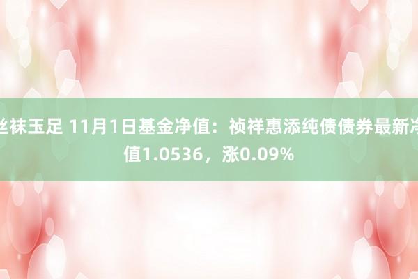 丝袜玉足 11月1日基金净值：祯祥惠添纯债债券最新净值1.0536，涨0.09%