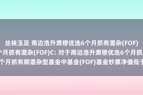 丝袜玉足 南边浩升肃穆优选6个月抓有混杂(FOF)A,南边浩升肃穆优选6个月抓有混杂(FOF)C: 对于南边浩升肃穆优选6个月抓有期混杂型基金中基金(FOF)基金钞票净值低于5000万元的教导性公告