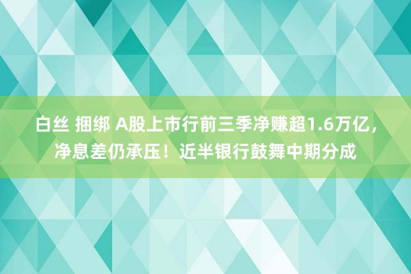 白丝 捆绑 A股上市行前三季净赚超1.6万亿，净息差仍承压！近半银行鼓舞中期分成