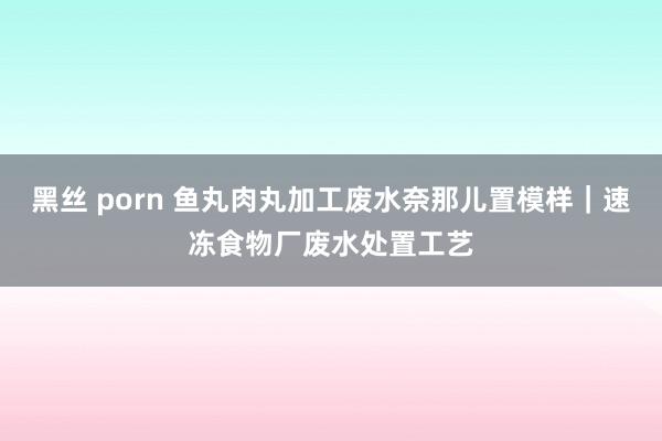 黑丝 porn 鱼丸肉丸加工废水奈那儿置模样｜速冻食物厂废水处置工艺