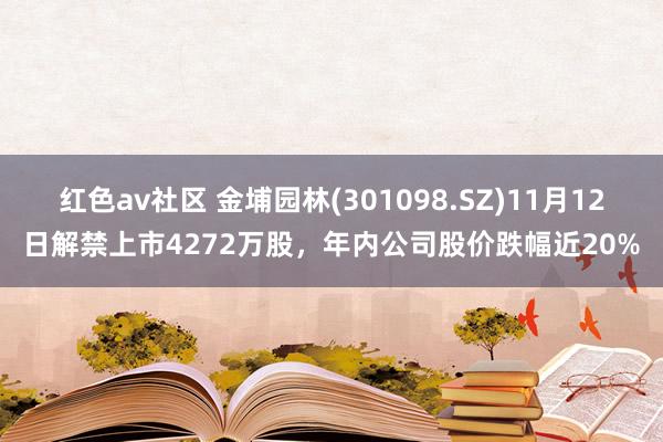 红色av社区 金埔园林(301098.SZ)11月12日解禁上市4272万股，年内公司股价跌幅近20%