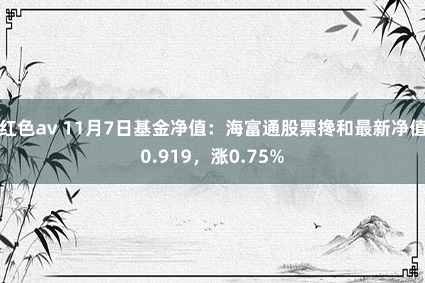 红色av 11月7日基金净值：海富通股票搀和最新净值0.919，涨0.75%