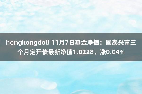 hongkongdoll 11月7日基金净值：国泰兴富三个月定开债最新净值1.0228，涨0.04%