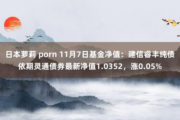 日本萝莉 porn 11月7日基金净值：建信睿丰纯债依期灵通债券最新净值1.0352，涨0.05%