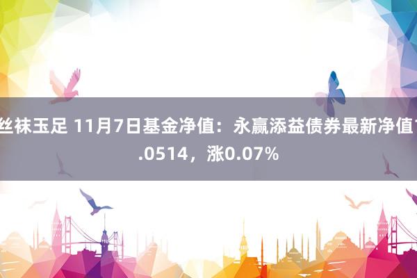 丝袜玉足 11月7日基金净值：永赢添益债券最新净值1.0514，涨0.07%