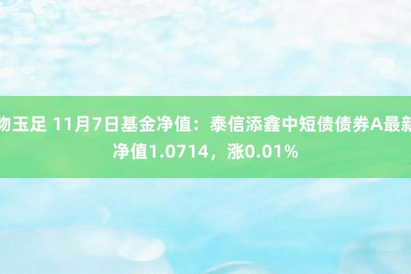 吻玉足 11月7日基金净值：泰信添鑫中短债债券A最新净值1.0714，涨0.01%